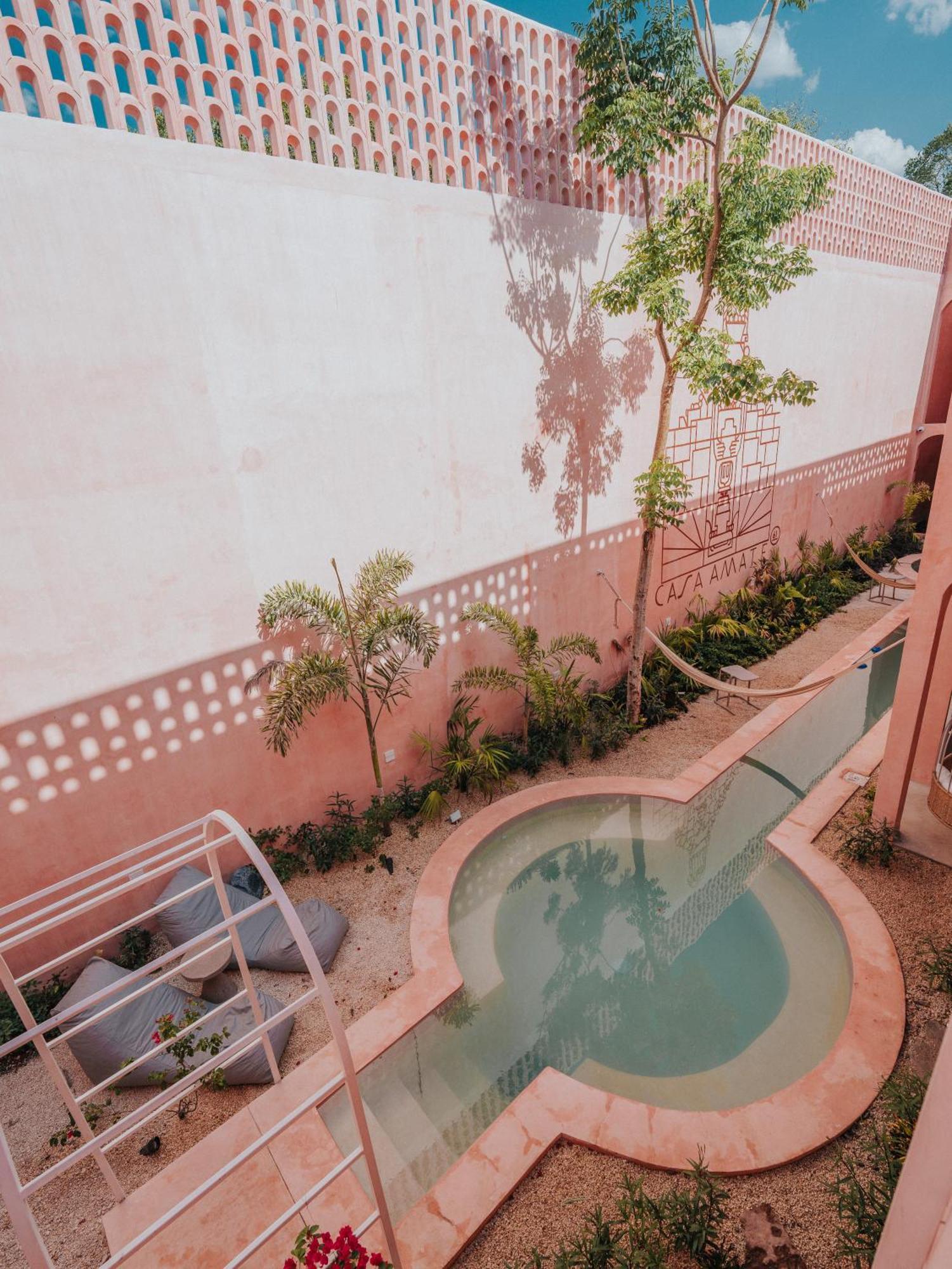 Casa Amate 61 Boutique Hostel Mérida Eksteriør billede